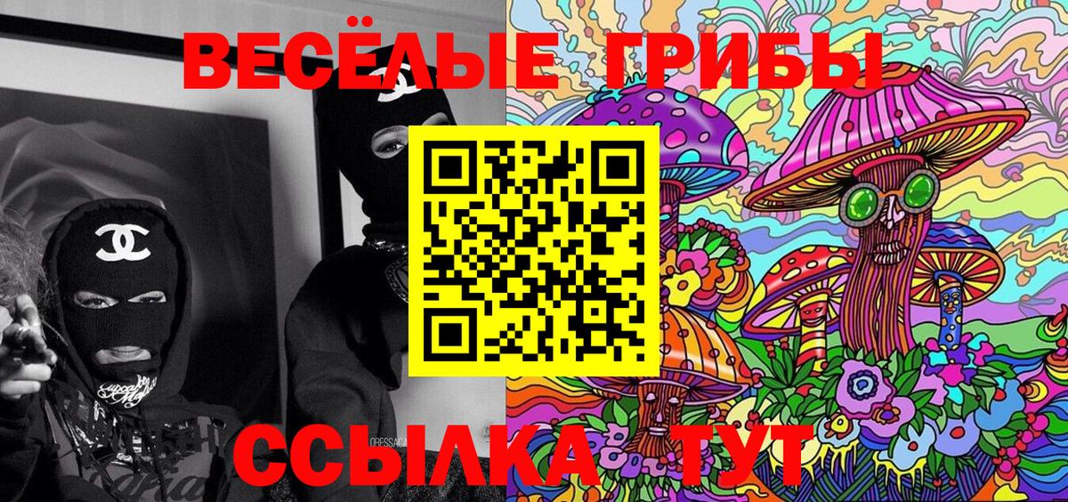 Галлюциногенные грибы Psilocybine cubensis Отрадное