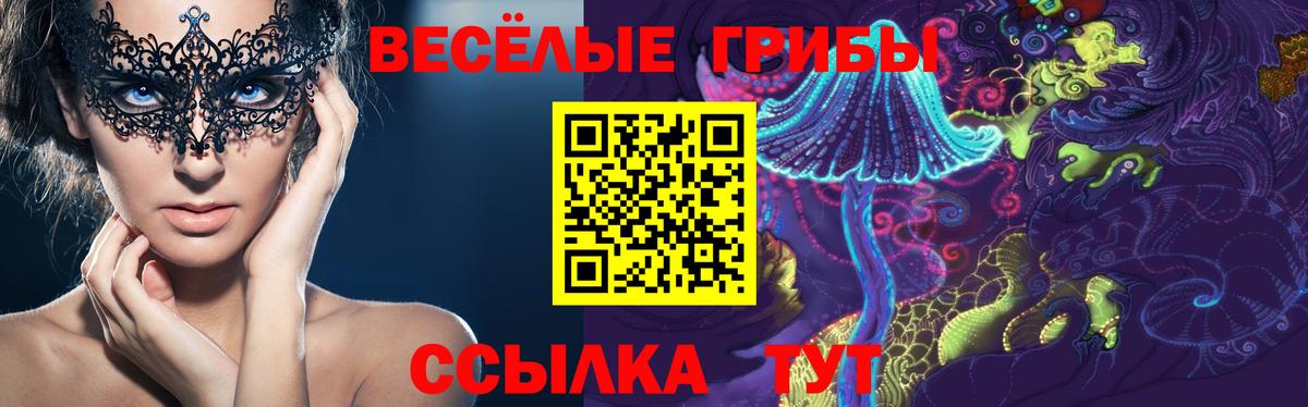 Отрадное  Галлюциногенные грибы Psilocybine cubensis  Галлюциногенные грибы прущие грибы  Вход с VPN 